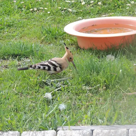 4 Personnes Maxi Confort Location En مكان تخييم