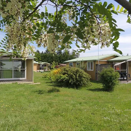 4 Personnes Maxi Confort Location En Campsite